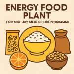 Energy Food Plant for Mid-Day Meal School programme